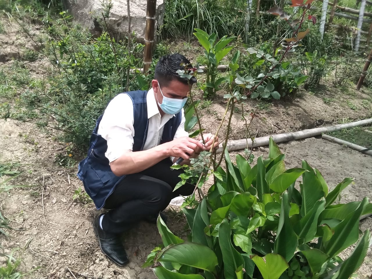 Producción Agropecuaria
